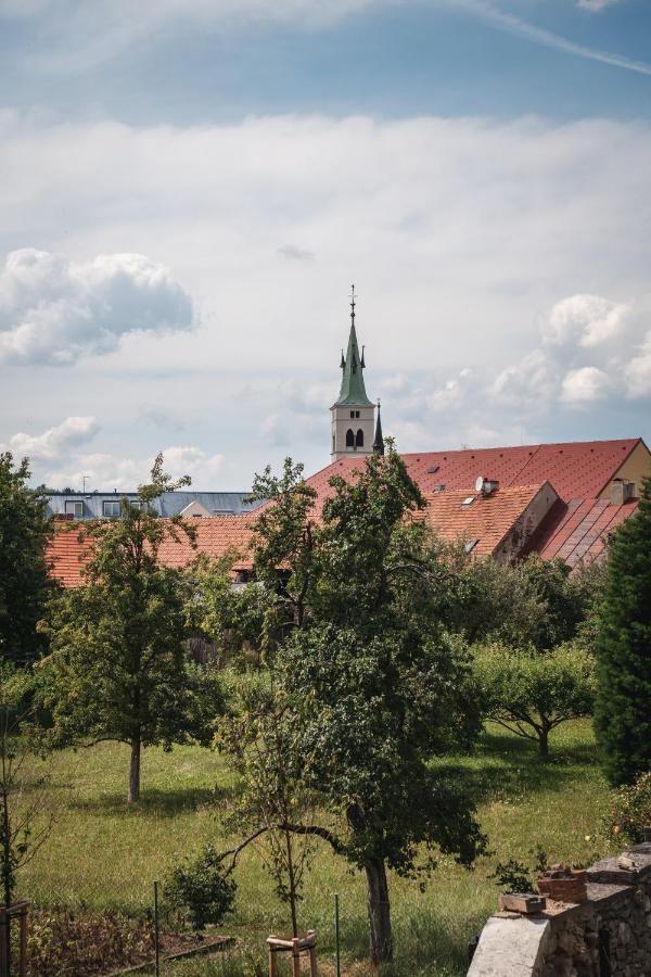 Apartman Sjezdovka 卡什佩尔斯凯霍里 外观 照片